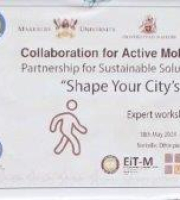  Future Urban Lab, EiT-M, Mekelle University in collaboration with CAMA Project has organized an expert workshop aiming at promoting Active