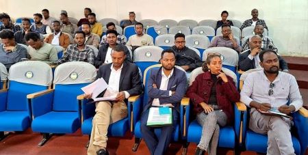 Beyond Bricks and Mortar: Digital Technologies for Sustainable and Inclusive Peace building and Reconciliation in Ethiopia's War Affected Regions