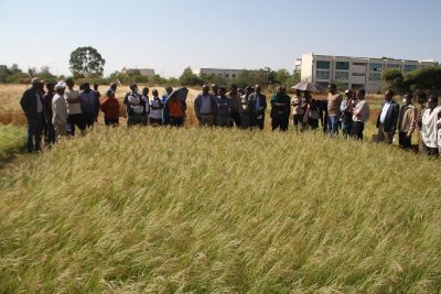 CANRHosts Field Day RCSA